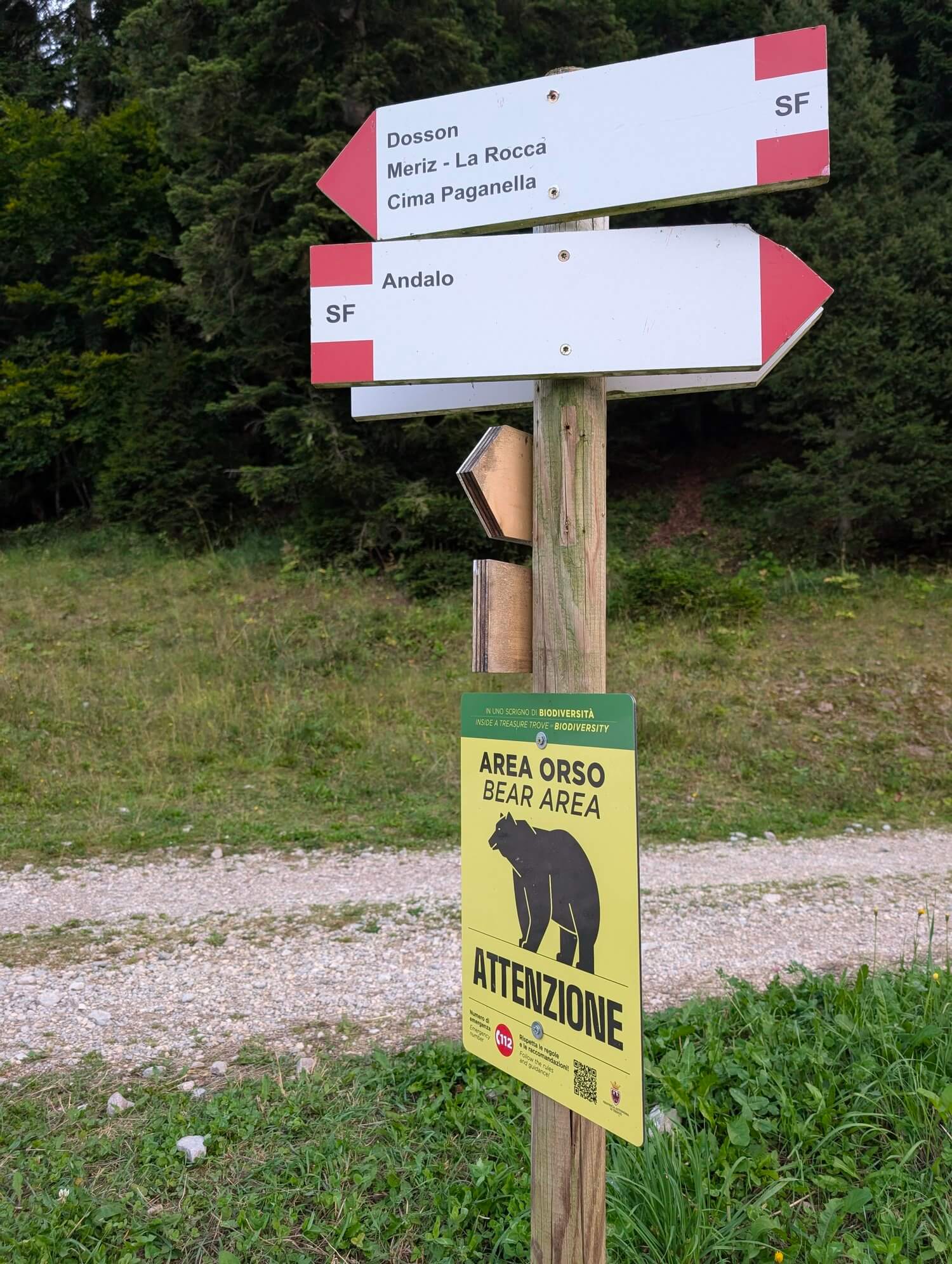 Mały niedźwiadek